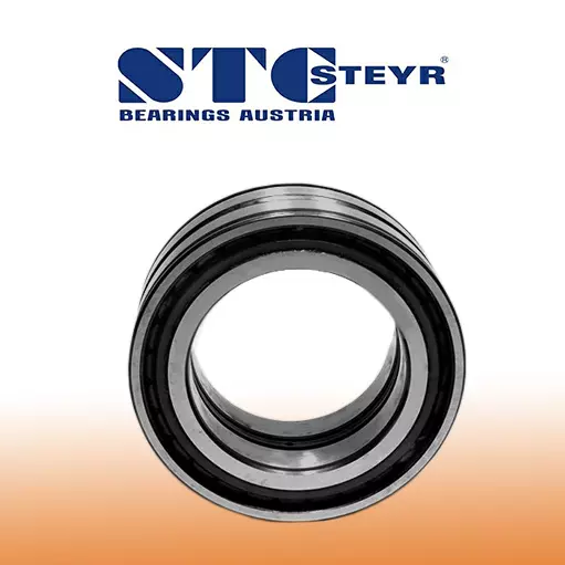 STEYR-RULMAN.webp