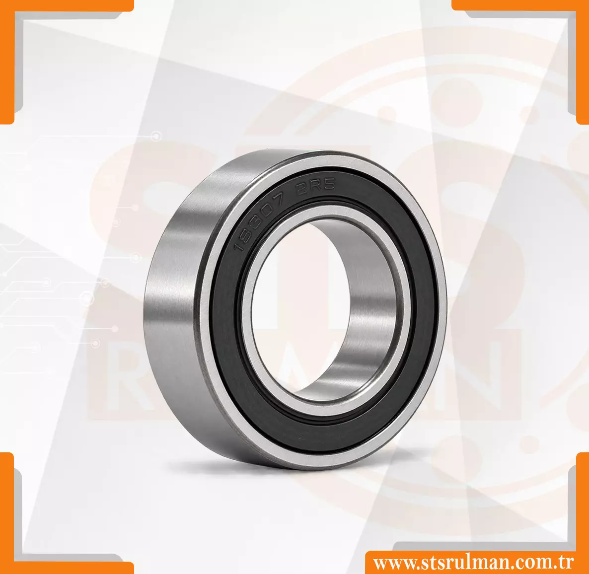 18307 2rs RULMAN-s1